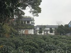 -西湖茶墅