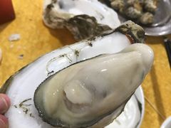 -蚝专家(北滘店)