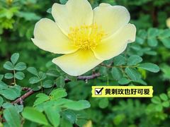 -北海公园