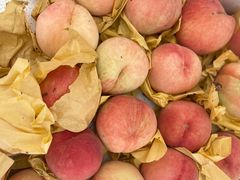 -南汇水蜜桃采摘(大团店)