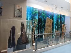 -延庆地质公园博物馆