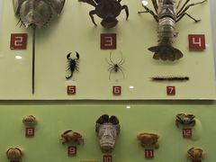 -国家自然博物馆