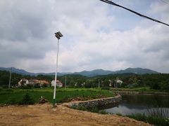 -素山寺森林公园