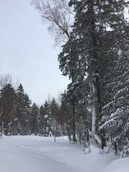 -大秃顶子山