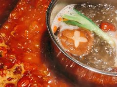 -二荆条·蜀鲜汇城市森林火锅