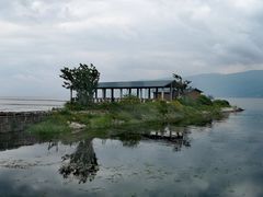 -才村湿地公园
