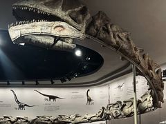 -自贡恐龙博物馆