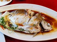 清蒸西江边鱼-胜记菜馆(文明路)