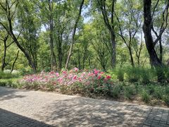-西湖风景区-江洋畈生态公园