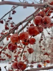 -优沃得自然教育农场·冰雪乐园·生日会·研学
