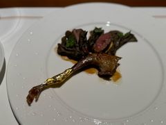 -觀芷隐轩