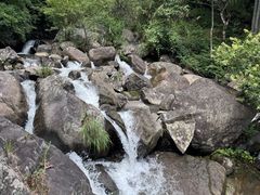 -大围山国家森林公园