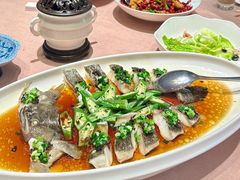 -香然会·园林雅宴(陆家嘴店)