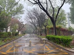 -中国政法大学(昌平校区)