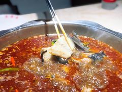 -蜀滋香鲜鱼美蛙火锅(339店)