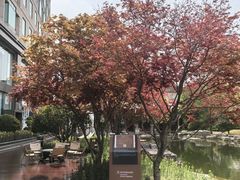 -青岛鑫江温德姆酒店