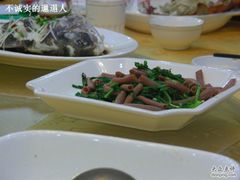海肠子-海岛渔村大酒店(云霄路店)