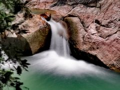 -广州白江湖森林公园