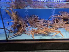 -阿伟海鲜楼·福建菜(延寿店)
