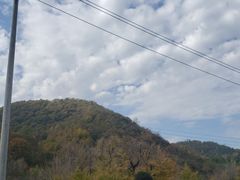 -千年银杏谷文化旅游区