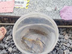 -DGE季风钓虾营地·团建·聚会
