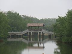 -沙美村