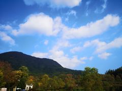 -塔川景区