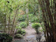 -南山植物园