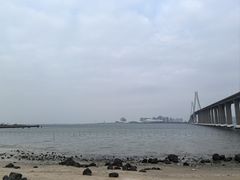 -中澳友谊花园