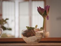 -汉艺唐风茶艺培训(联发华美空间店)