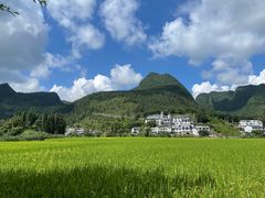 -万峰林风景区
