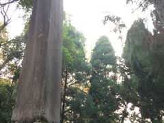 -汇龙潭