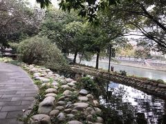 -成都市活水公园