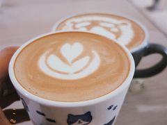 -SAFARI COFFEE