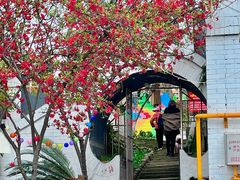 -桃源山庄·水蜜桃采摘·柴火鸡·烧烤团建(龙泉山店)