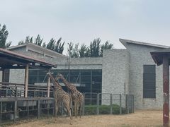 -石家庄市动物园