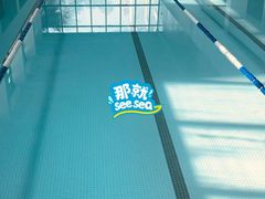 -江湾体育中心游泳馆