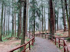 -重庆睡佛山森林公园