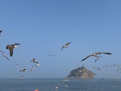 -棒棰岛宾馆景区