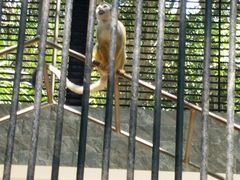 -广东茂名森林公园