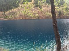 树正沟-九寨沟-树正沟