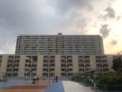 -彩虹村