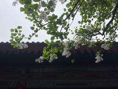 -西安碑林博物馆