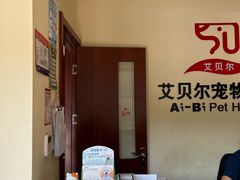 -艾贝尔宠物医院 ·内科全科(梁溪路店)
