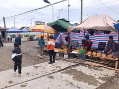 -塘栖枇杷特色园区