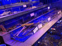 水产区-青蓬蒸汽海鲜·深圳老字号·团建聚会(壹方城店)