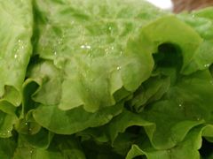 -高丽屋(天宁寺店)