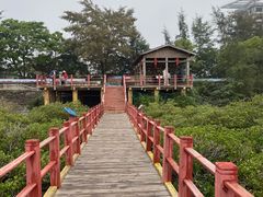 -北海金海湾红树林生态旅游区