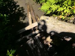 -峡谷浮石林景区