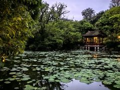 -西湖公园(鼓楼区)